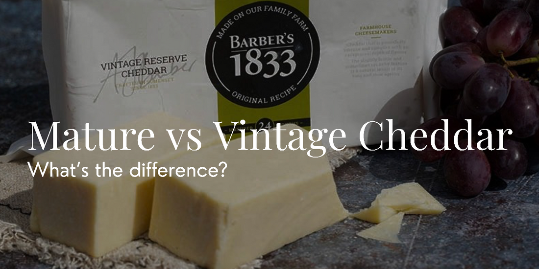 Mature vs Vintage Cheddar: What’s the Difference?