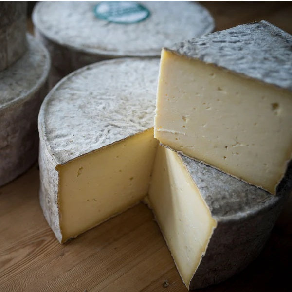 Gorwydd Caerphilly Quarter Wheel